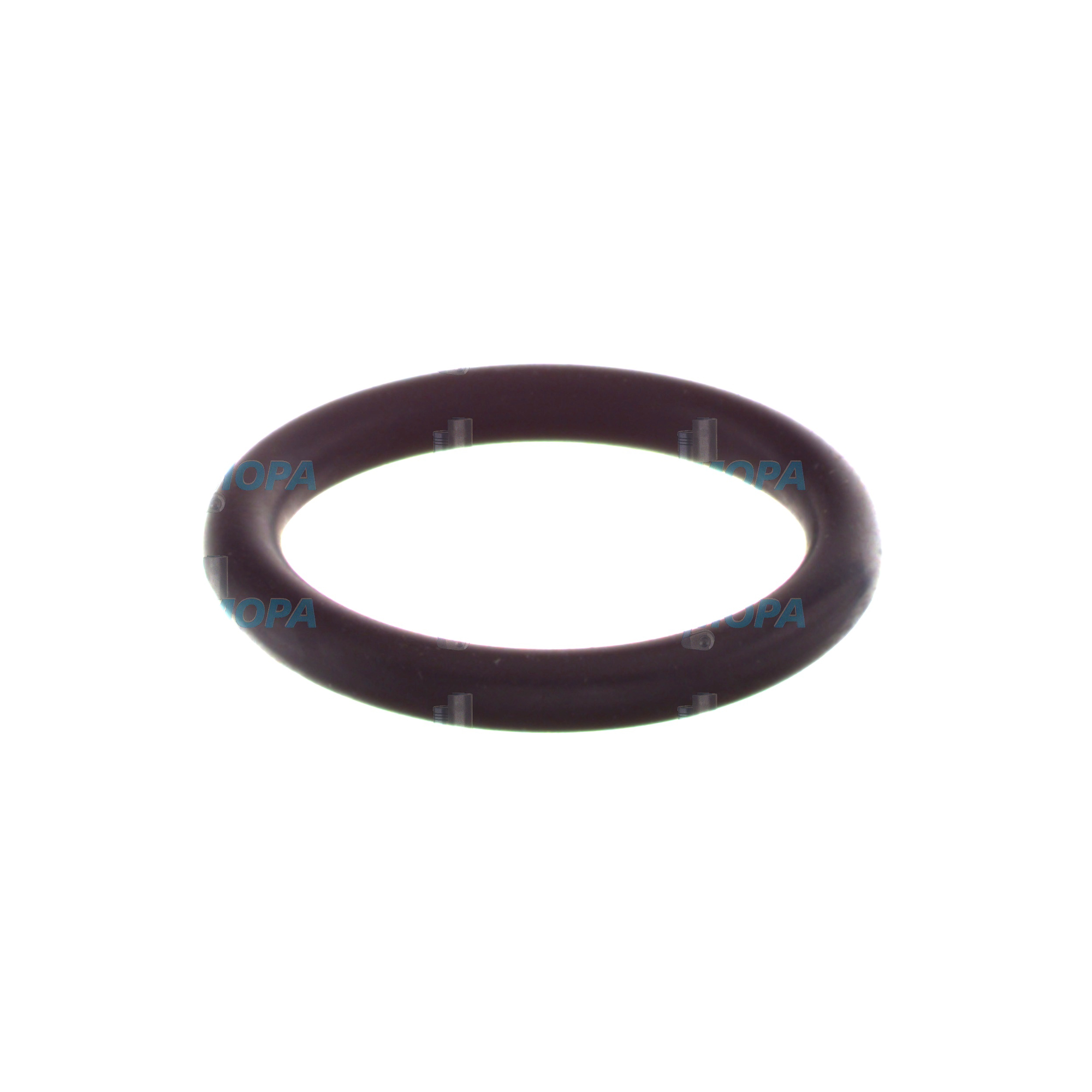 TORIC SEAL - 2000400252 suitable for Bosch engines