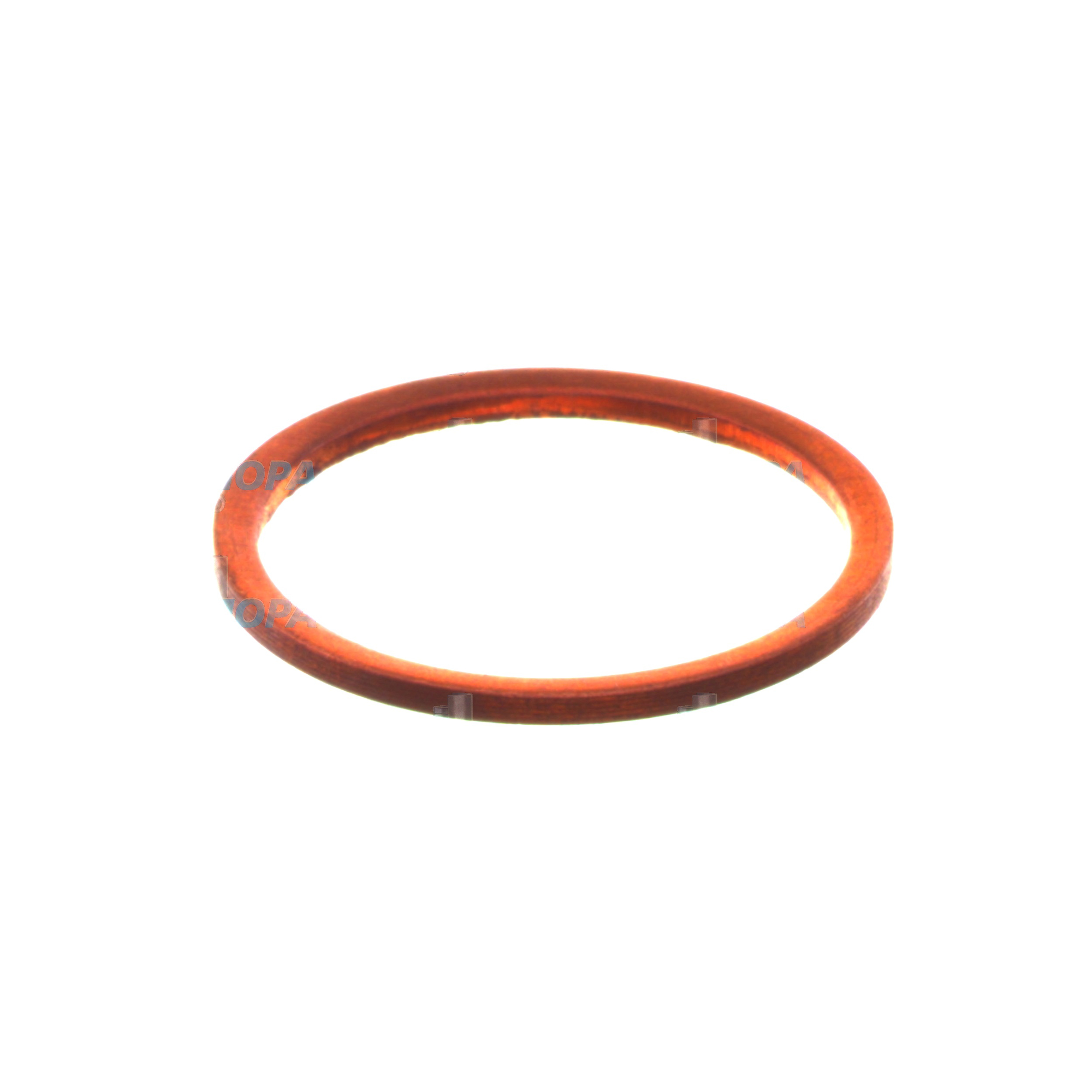 SEALING RING - 2916710621 suitable for Bosch engines