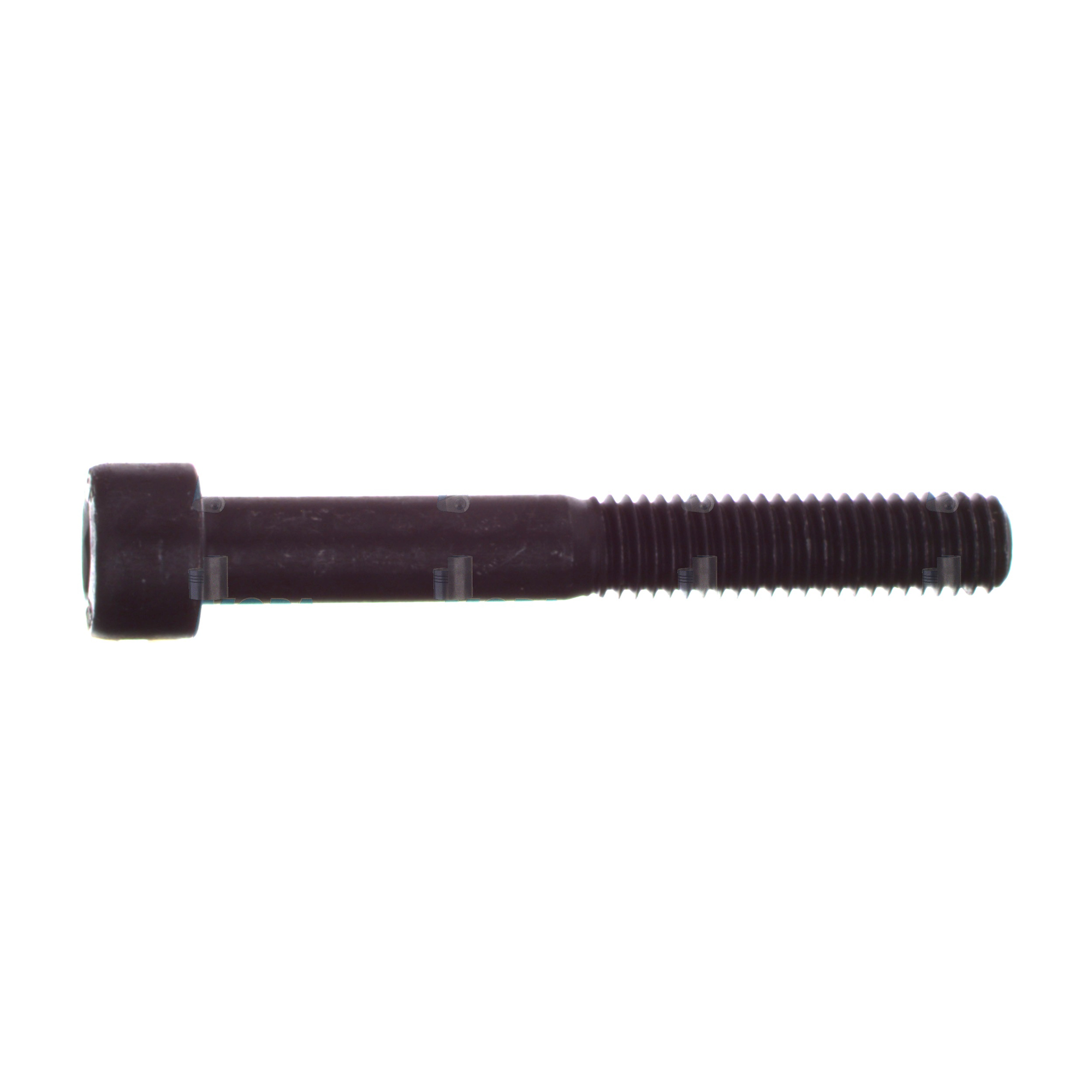 CYLINDER SCREW - 2430101804 suitable for Bosch engines