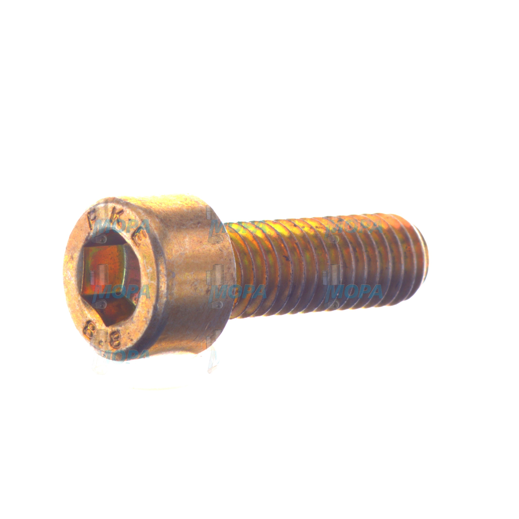 CYLINDER SCREW - 06021920306 suitable for MAN D engines