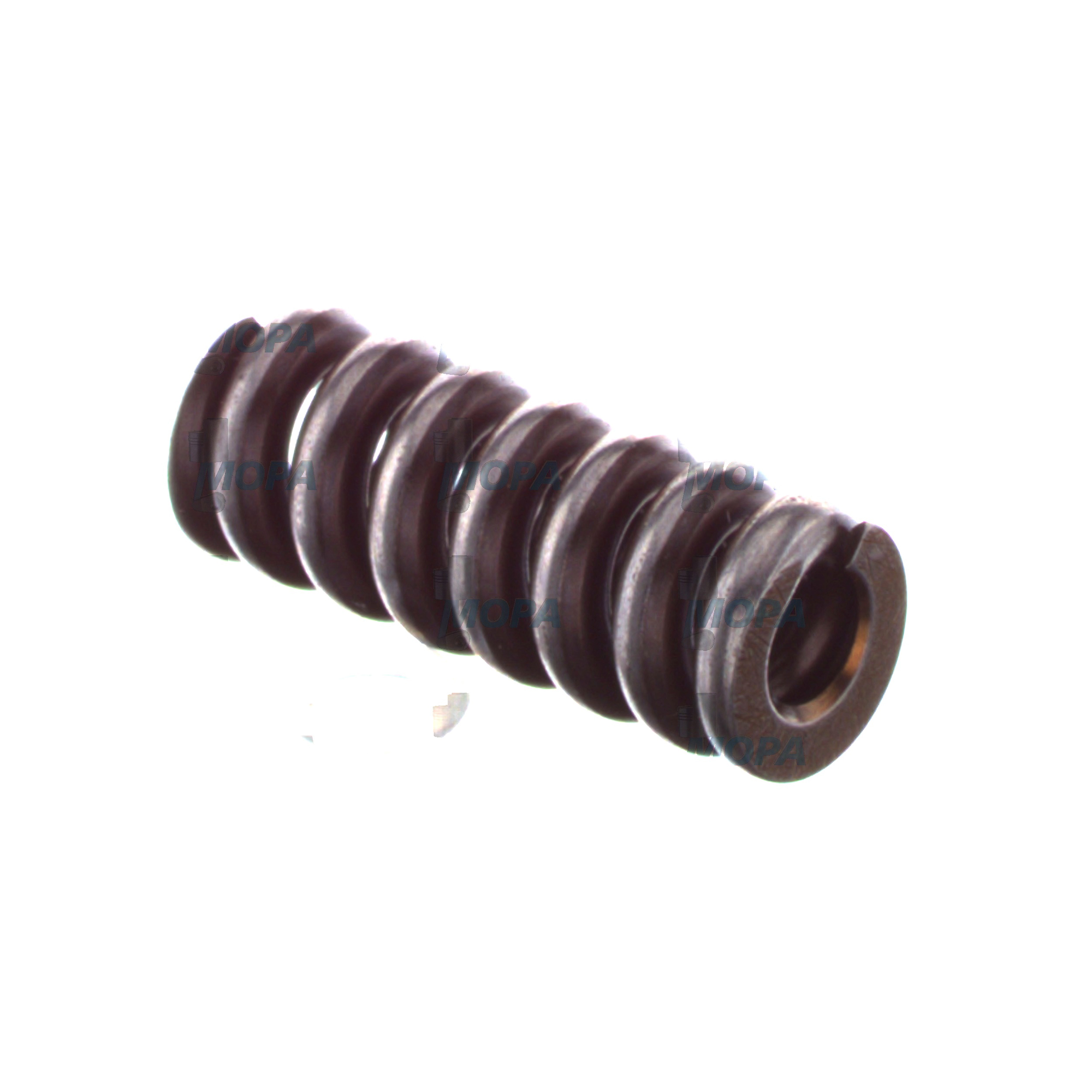 COMPRESSION SPRING - 2434619043 suitable for Bosch engines