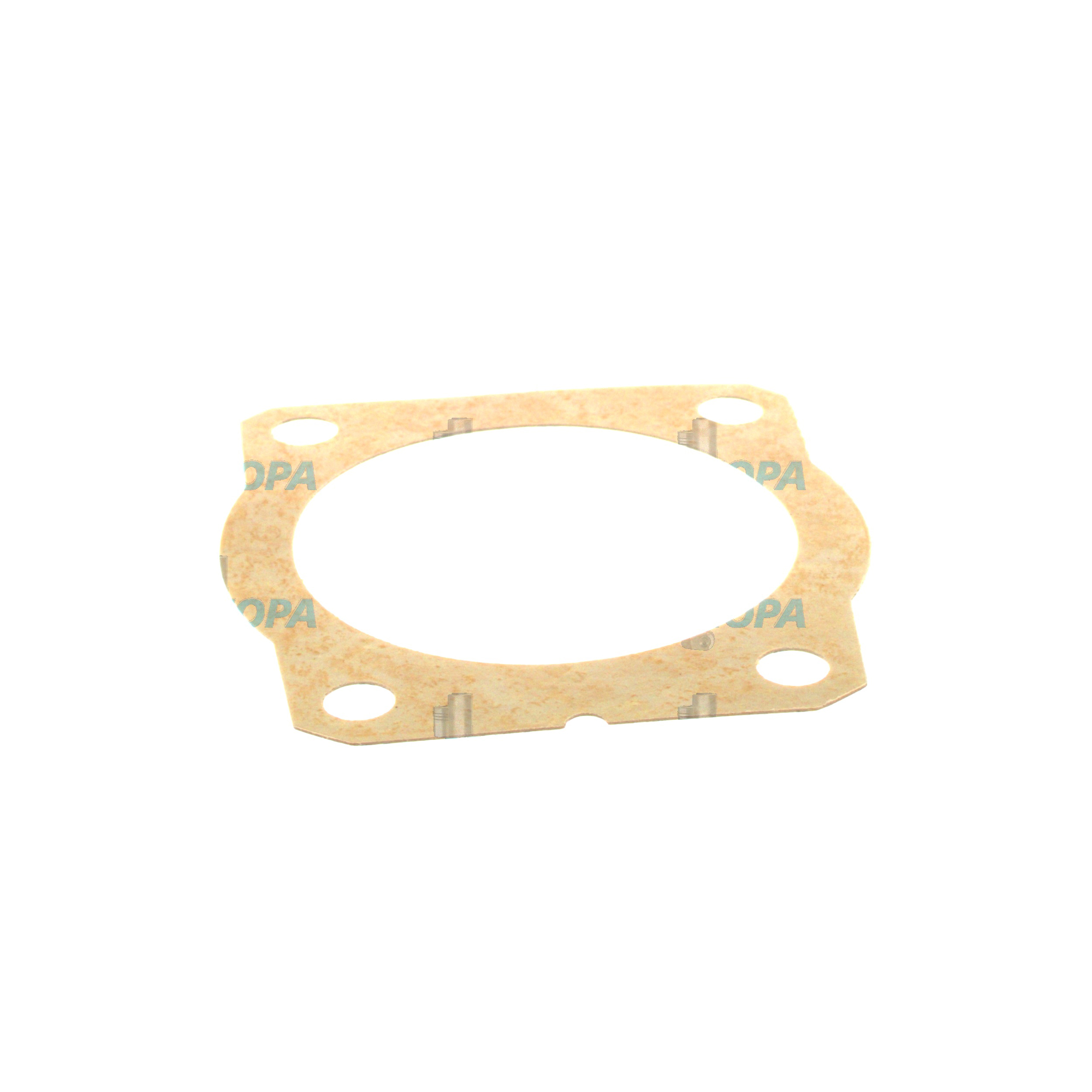 SEALING PLATE - 12155971 suitable for Deutz engines