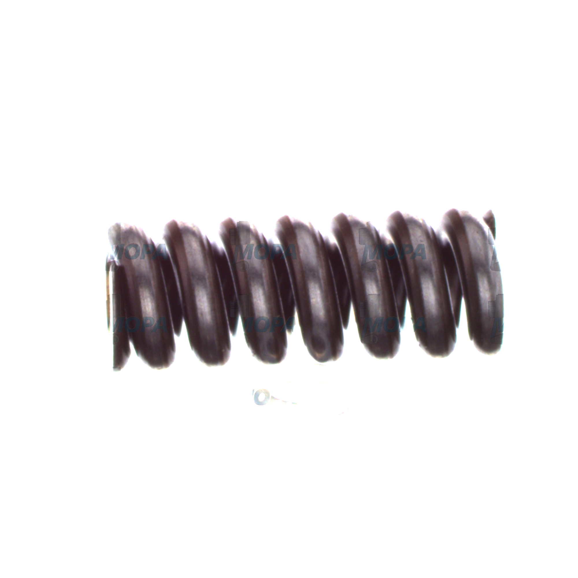 COMPRESSION SPRING - 2434619043 suitable for Bosch engines