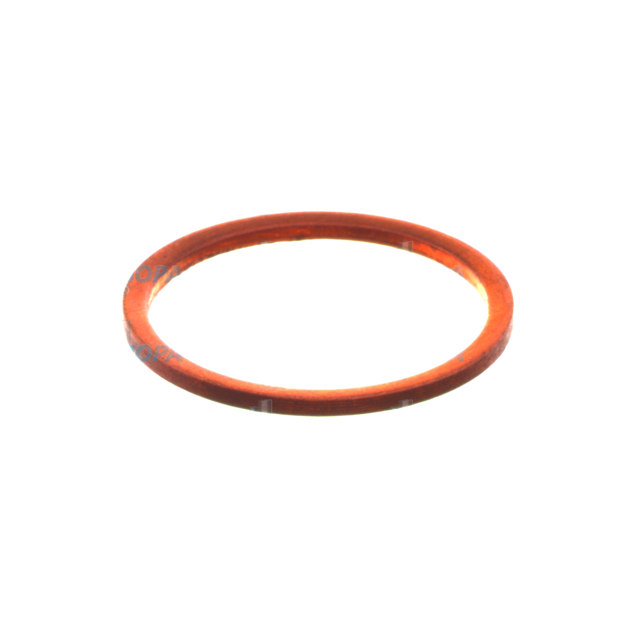 SEALING RING - 2916710621 suitable for Bosch engines