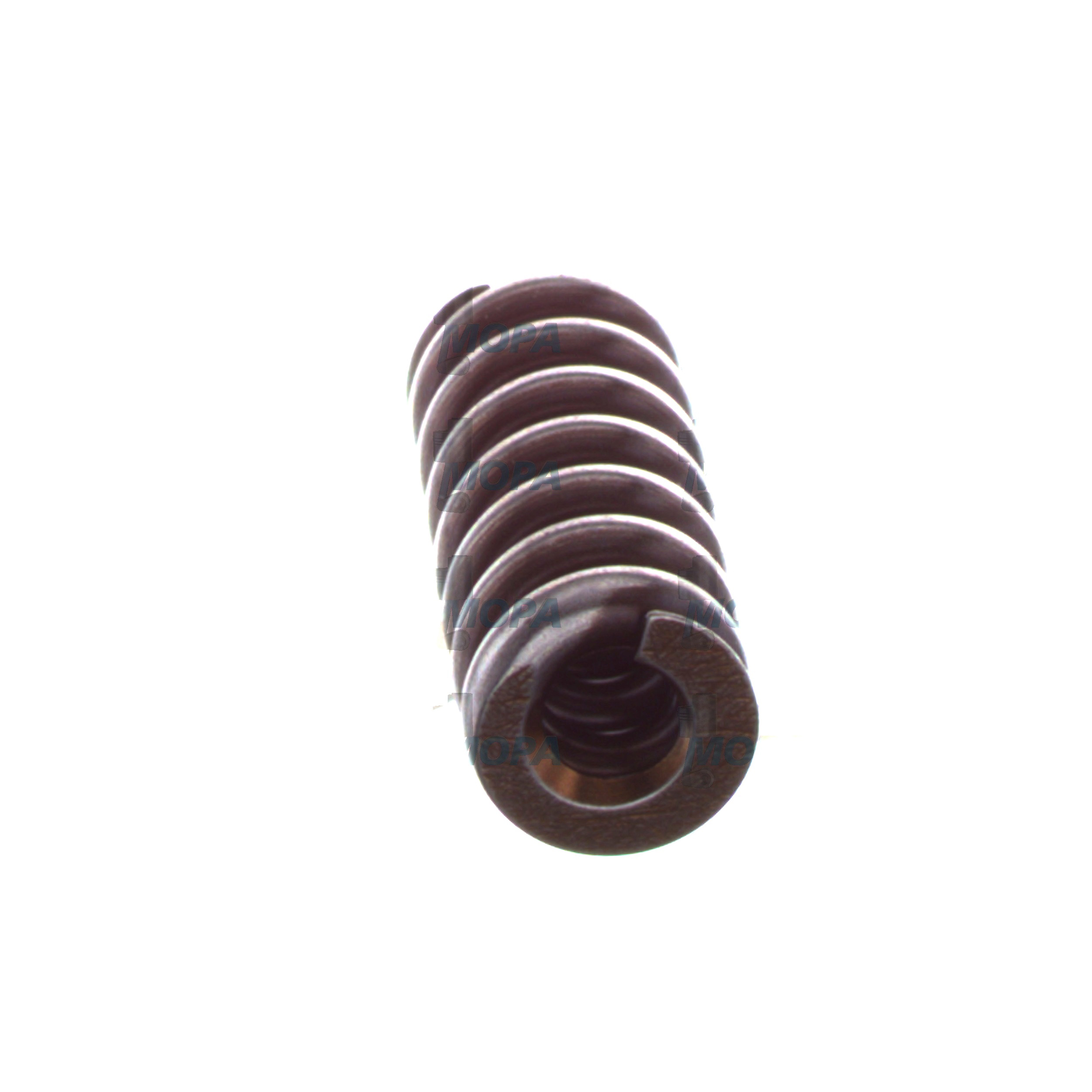 COMPRESSION SPRING - 2434619043 suitable for Bosch engines