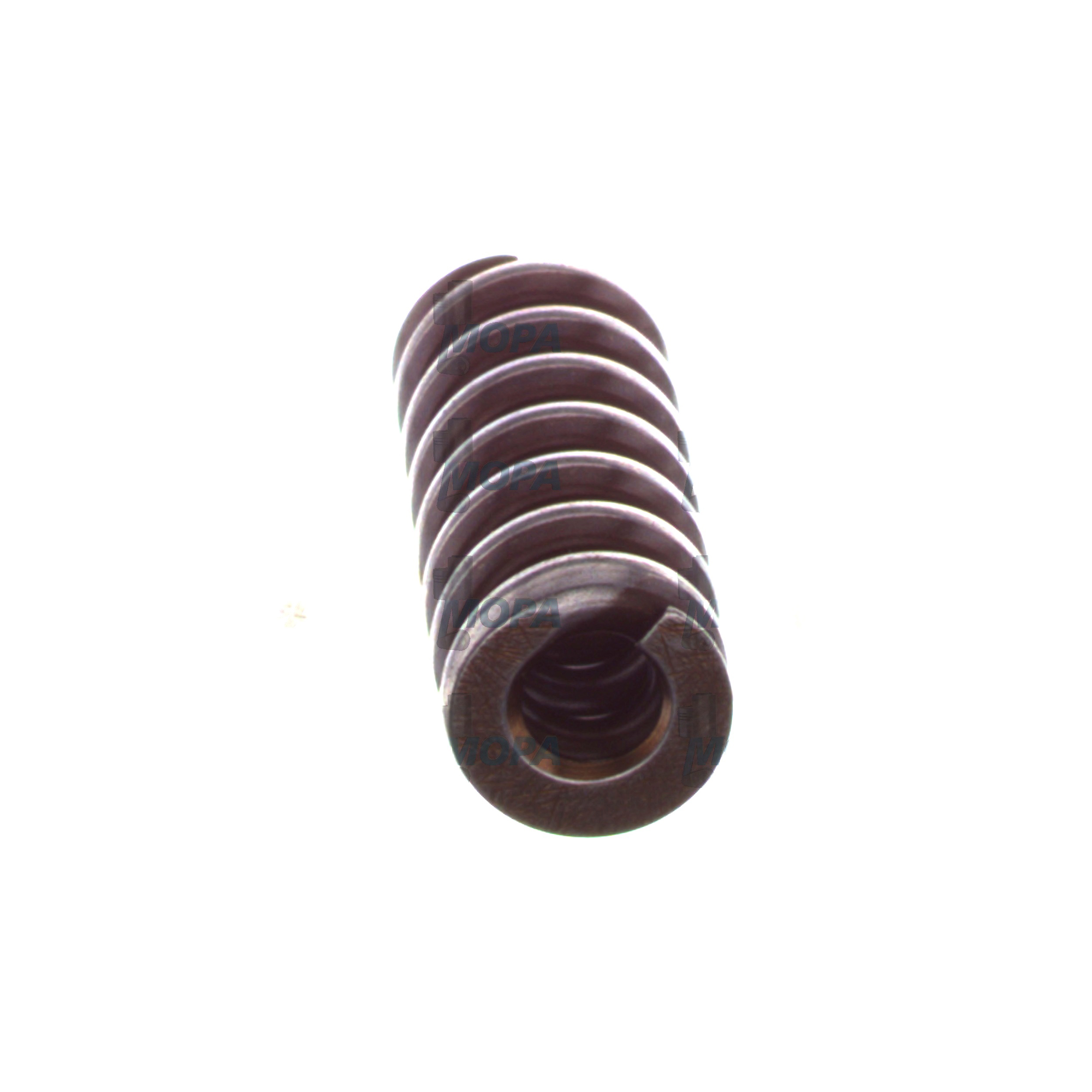 COMPRESSION SPRING - 2434619043 suitable for Bosch engines