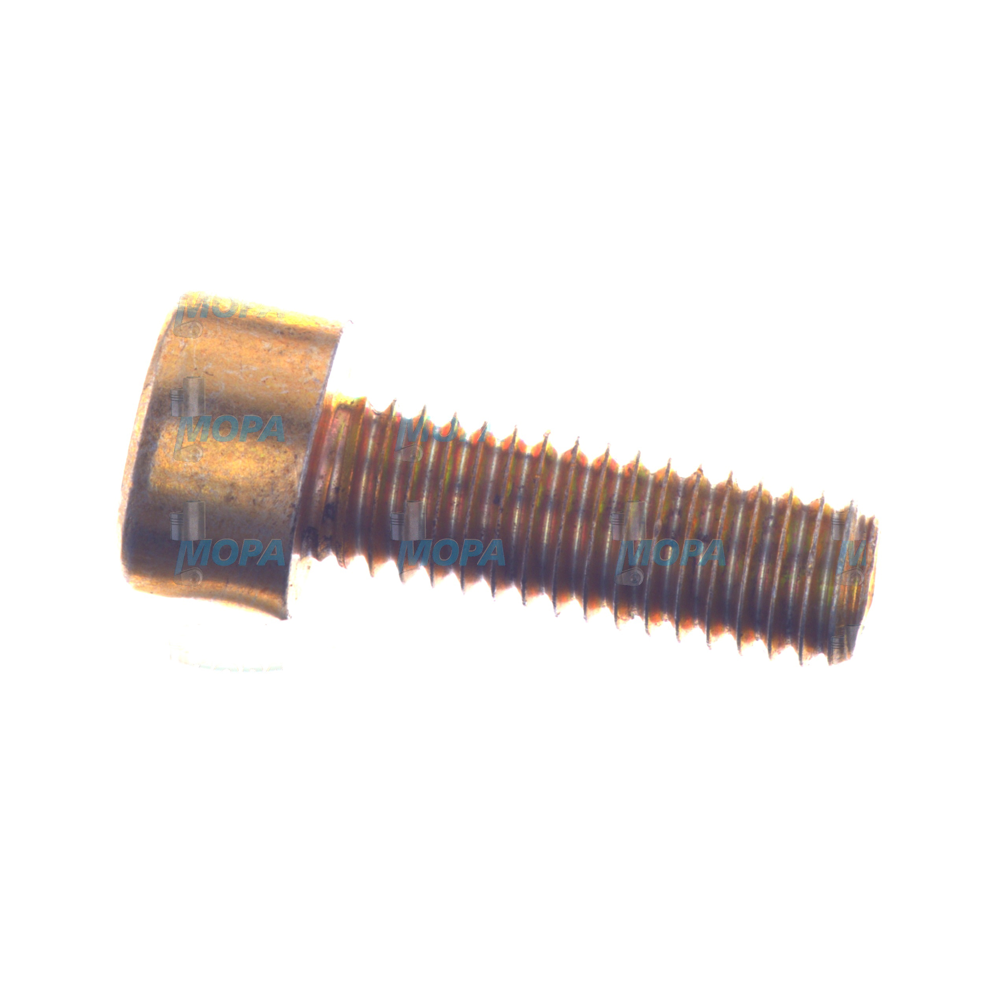 CYLINDER SCREW - 06021920306 suitable for MAN D engines