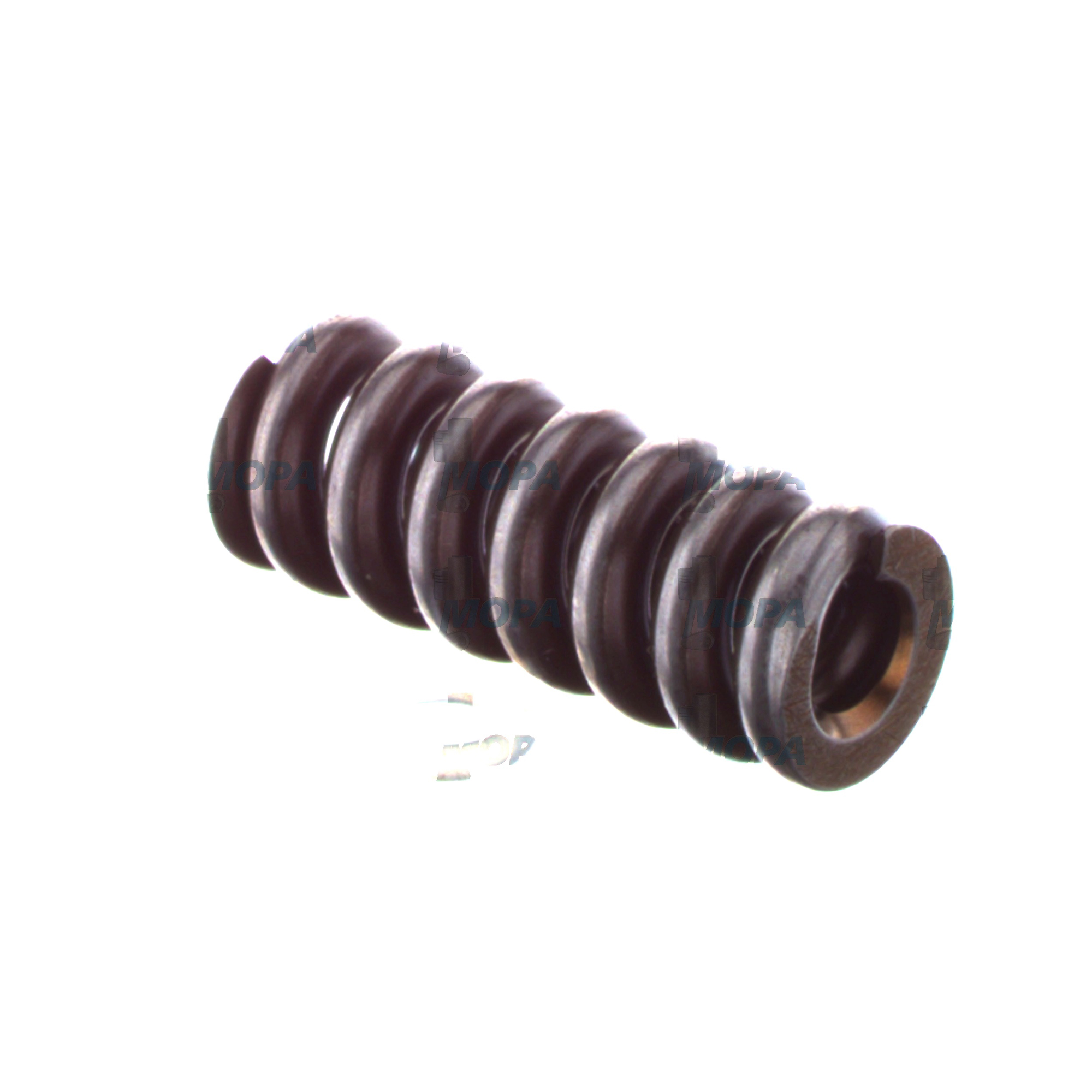 COMPRESSION SPRING - 2434619043 suitable for Bosch engines