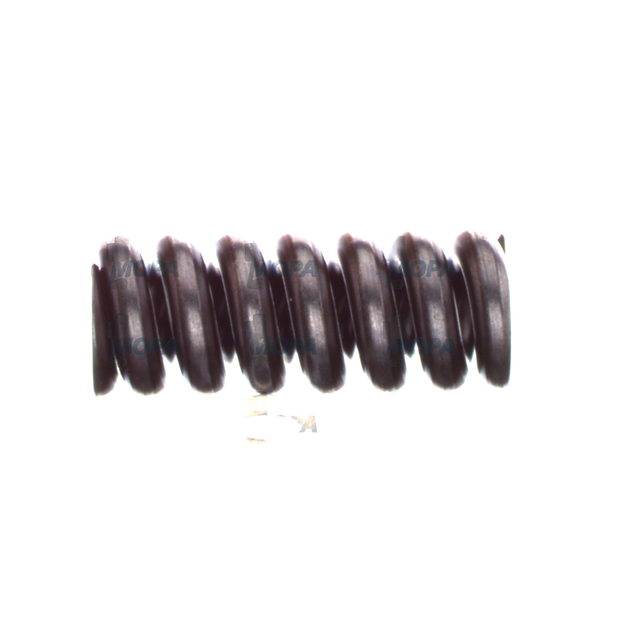 COMPRESSION SPRING - 2434619043 suitable for Bosch engines