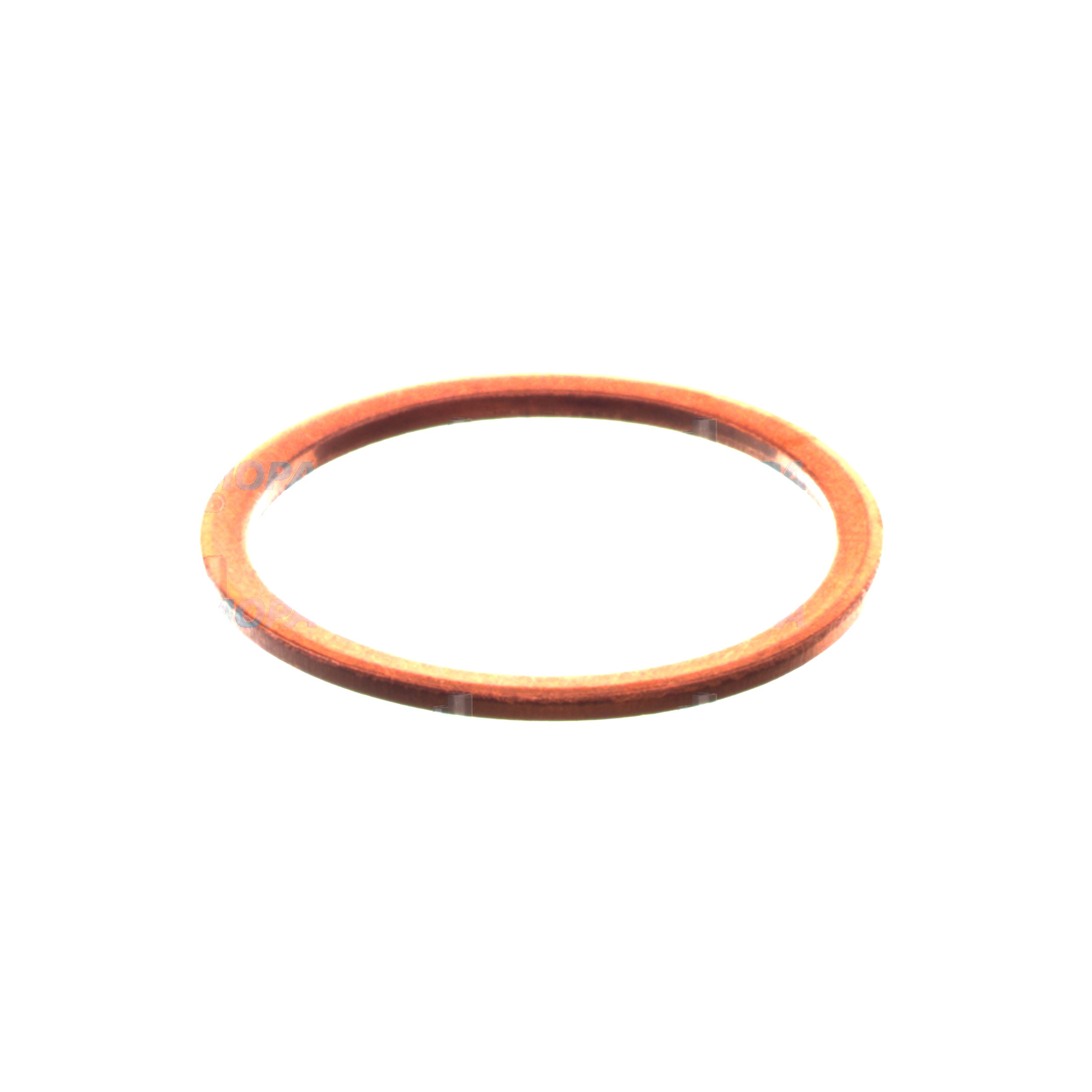 SEALING RING - 2916710628 suitable for Bosch engines