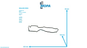 DICHTRING - 4420150060 passend für MTU Motoren