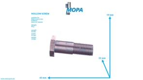 HOLLOW SCREW - 51981500051 suitable for MAN D engines