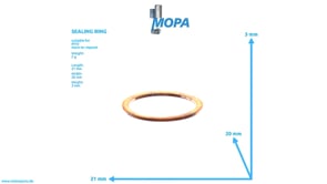 DICHTRING - 5559970344 passend für MTU Motoren