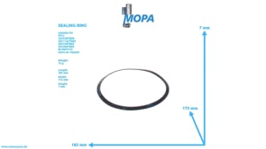 DICHTRING - 0001840061 passend für MTU Motoren