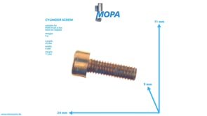 CYLINDER SCREW - 06021920306 suitable for MAN D engines