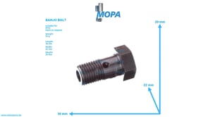 BANJO BOLT - 700223006000 suitable for MTU engines