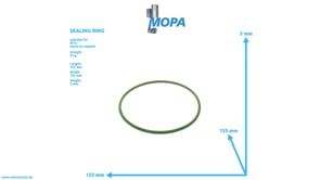 DICHTRING - 8699970273 passend für MTU Motoren
