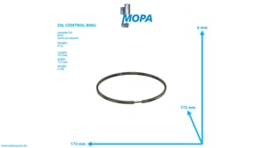 DACHFASENRING - 5500370018 passend für MTU Motoren