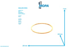 DICHTRING - 5800162419 passend für MTU Motoren