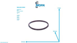 DICHTRING - 5419970445 passend für MTU Motoren