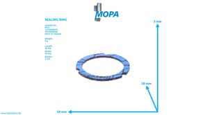 DICHTRING - 8699970269 passend für MTU Motoren